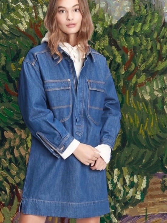 GAP Dresses & Skirts - GAP PETITE LARGE WORKFORCE COLLECTION 100% COTTON DENIM DRESS